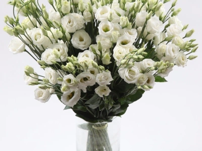 Букет из белых эустом