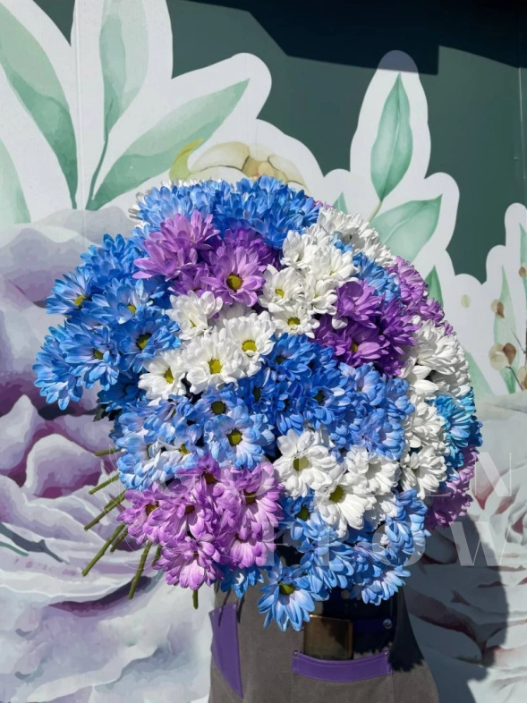 Небесные ромашки