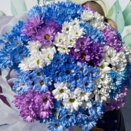 Небесные ромашки 0