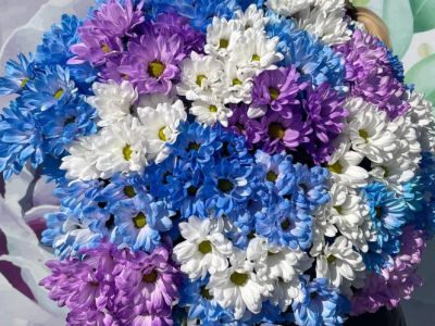 Небесные ромашки