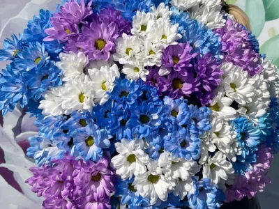 Букет из разноцветных ромашковых хризантем