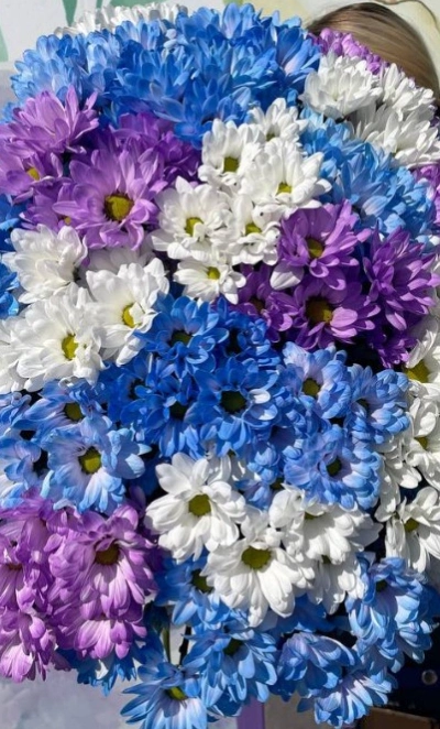 Небесные ромашки