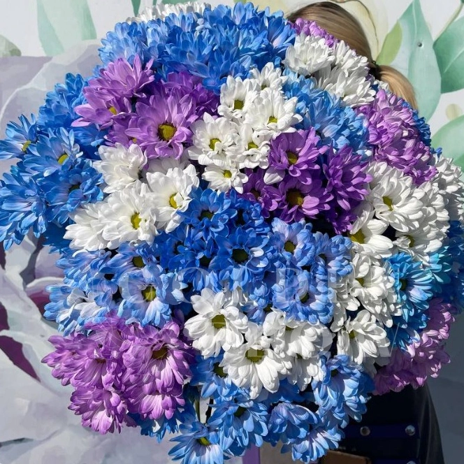 Небесные ромашки