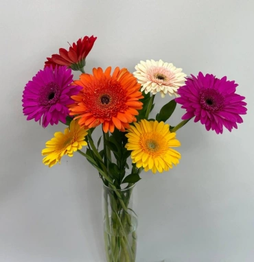 Букет из гербер