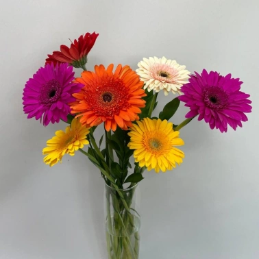 Букет из гербер