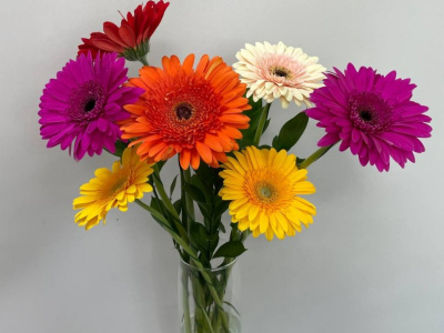 Букет из гербер