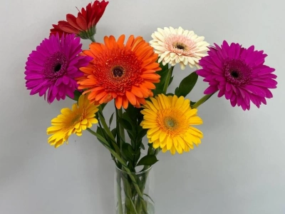 Букет из гербер