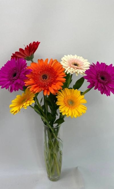 Букет из гербер