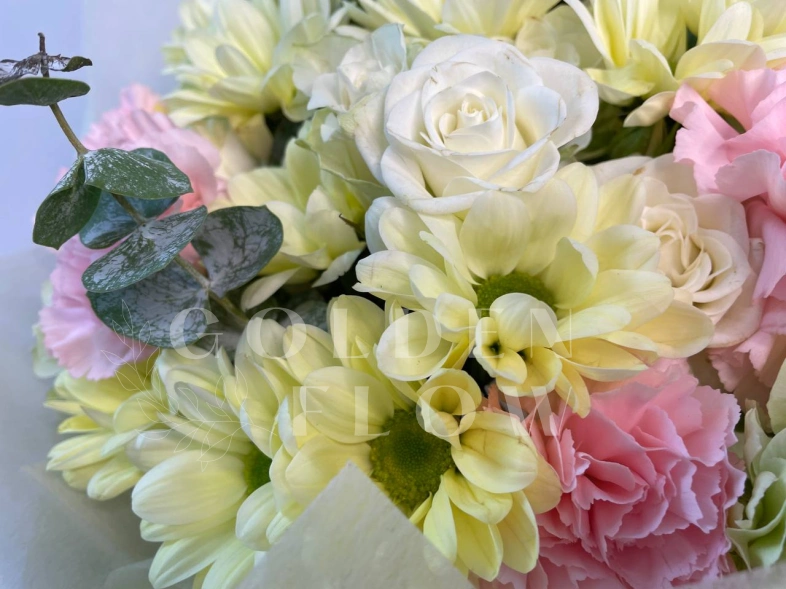 Весенний рассвет