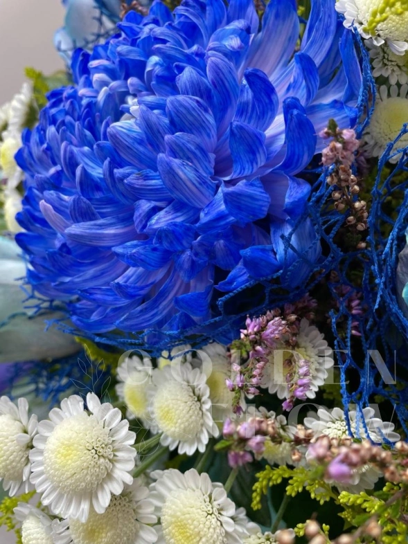 Голубая лагуна