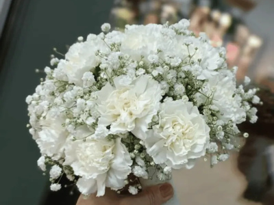 Букет невесты из диантусов и гипсофилы 