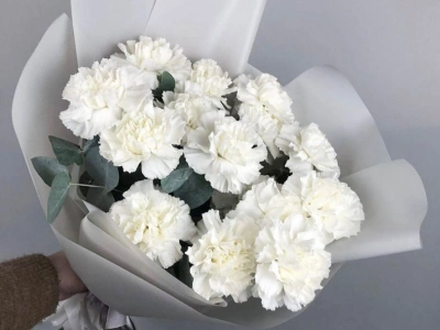 Букет из диантусов и эвкалипта «Белый танец»