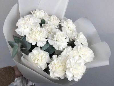 Букет из диантусов и эвкалипта «Белый танец»