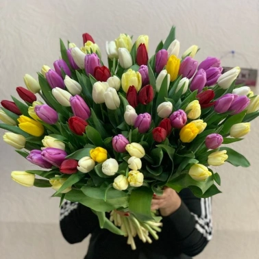 101 тюльпан под ленту