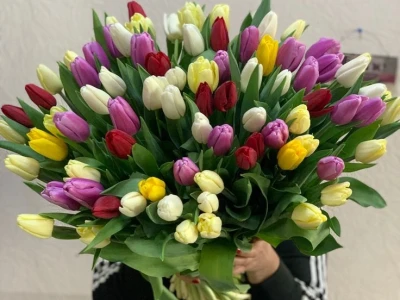 101 тюльпан под ленту