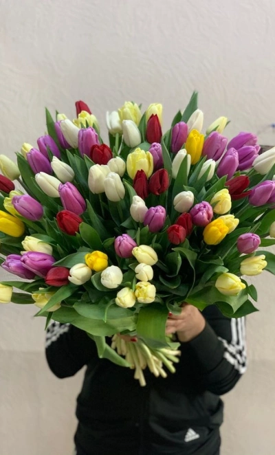 101 тюльпан под ленту