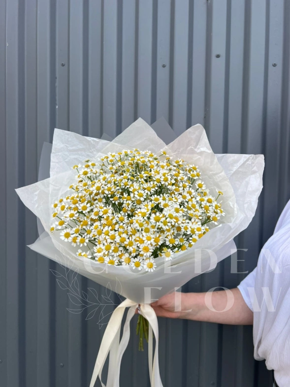 Букетик из ромашек (матрикарии)