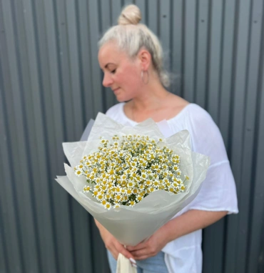 Букетик из ромашек (матрикарии)