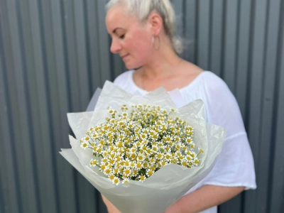 Букетик из ромашек (матрикарии)