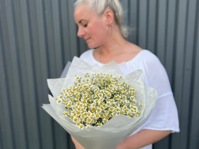 Букетик из ромашек (матрикарии)