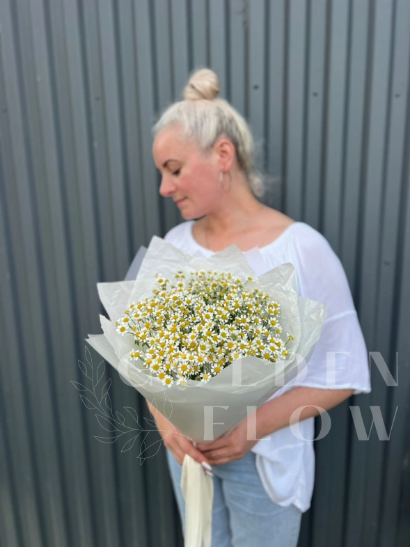 Букетик из ромашек (матрикарии)
