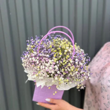 Гипсофила фиолетово-желтая в сумочке