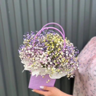 Гипсофила фиолетово-желтая в сумочке