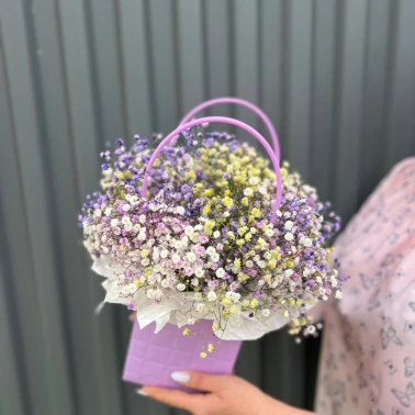 Гипсофила фиолетово-желтая в сумочке