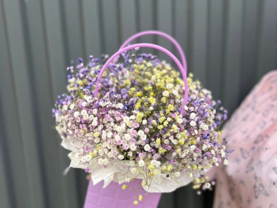 Гипсофила фиолетово-желтая в сумочке