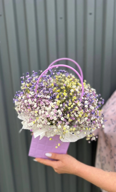 Гипсофила фиолетово-желтая в сумочке
