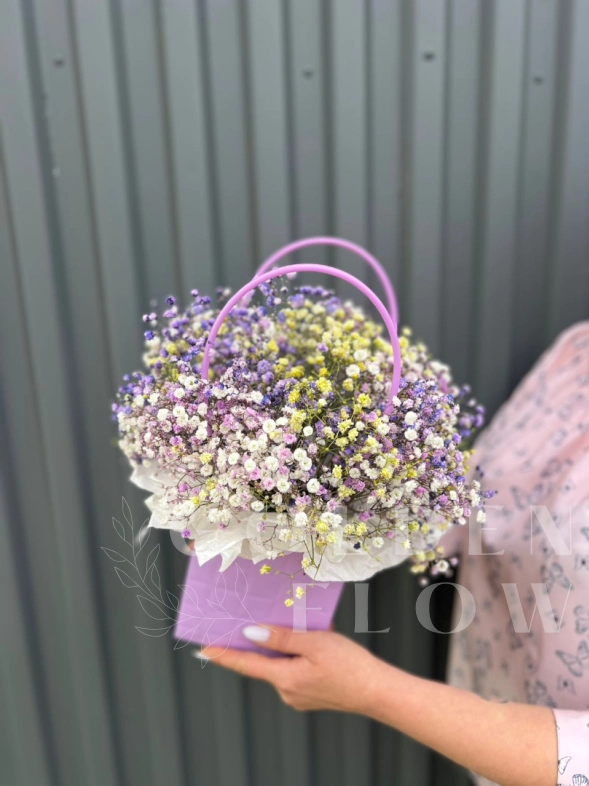 Гипсофила фиолетово-желтая в сумочке