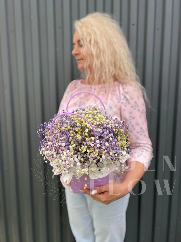 Гипсофила фиолетово-желтая в сумочке