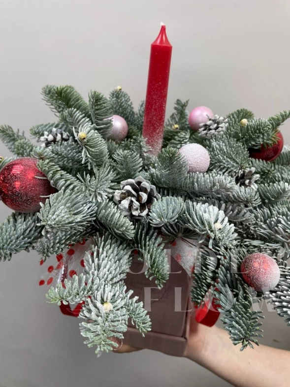 Композиция с нобилисом &laquo;Новогодний уют&raquo;