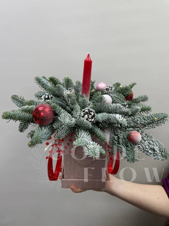 Композиция с нобилисом &laquo;Новогодний уют&raquo;