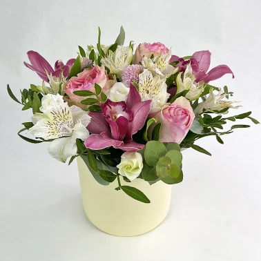 Коробка с орхидеями «Эльфийка»