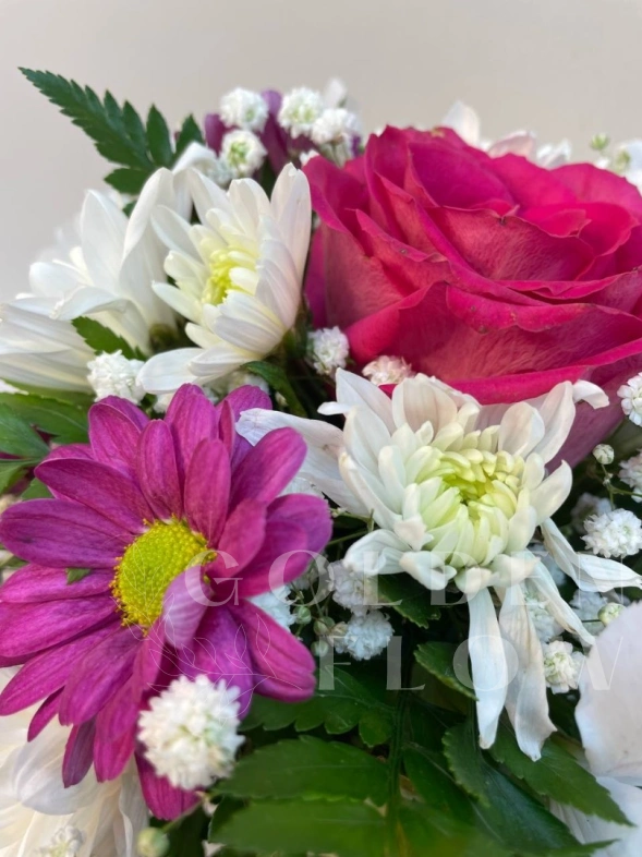 Комплимент в стаканчике