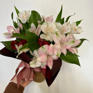 Композиция из альстромерий в стакане  «Строгая»