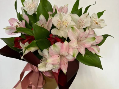 Композиция из альстромерий в стакане  «Строгая»