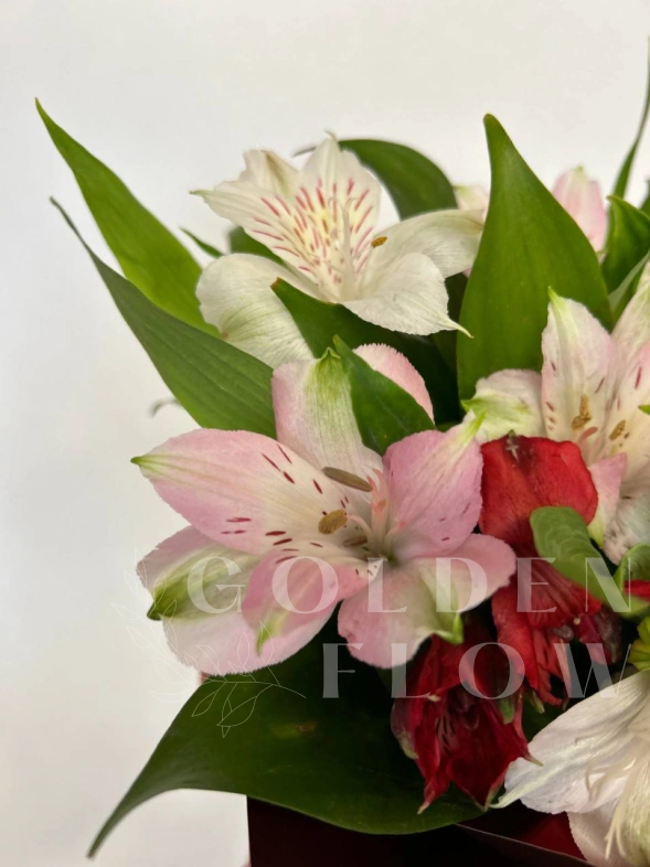 Композиция в стакане  &laquo;Строгая&raquo;