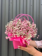 Гипсофила бело-розовая в сумочке 0