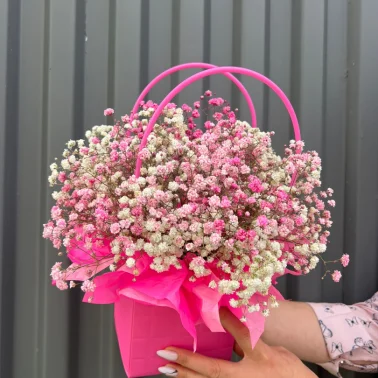 Гипсофила бело-розовая в сумочке