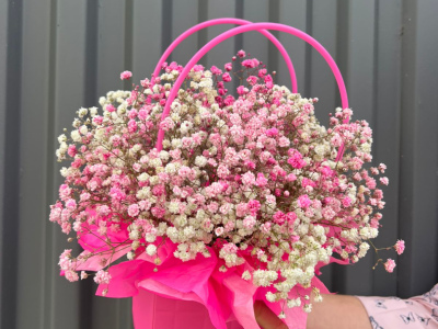 Гипсофила бело-розовая в сумочке