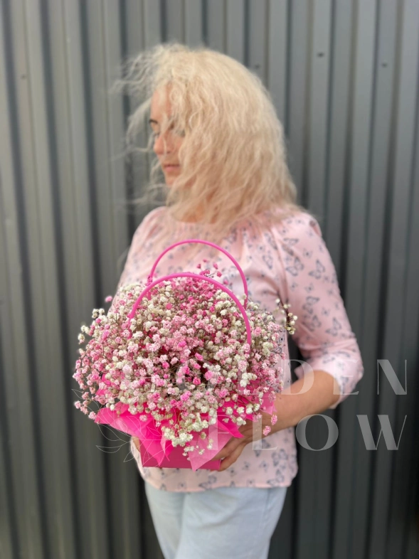 Гипсофила бело-розовая в сумочке