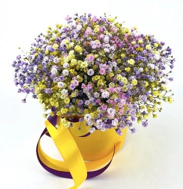 Коробка с гипсофилами «Радуга»