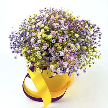 Коробка с гипсофилами «Радуга»