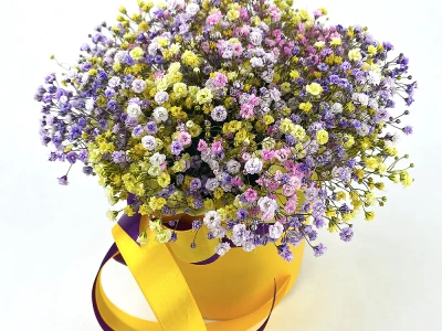 Коробка с гипсофилами «Радуга»