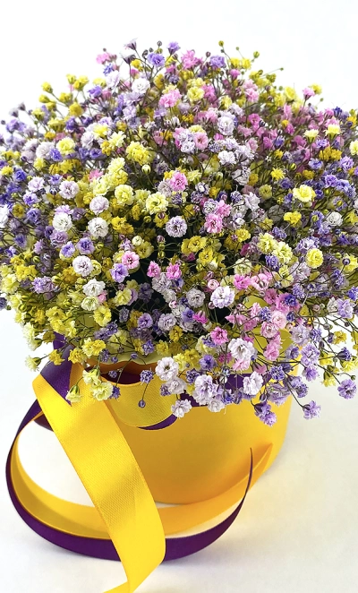 Коробка с гипсофилами «Радуга»