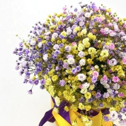 Коробка с гипсофилами &laquo;Радуга&raquo; 1