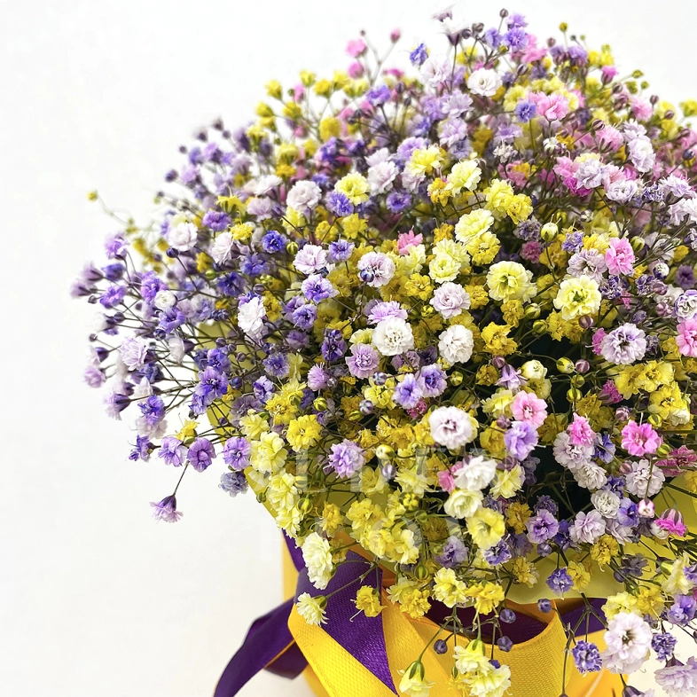 Коробка с гипсофилами &laquo;Радуга&raquo;