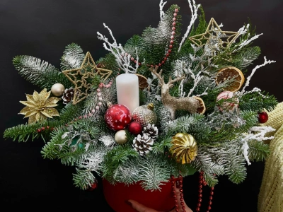 Композиция с нобилисом «Зимний лес»